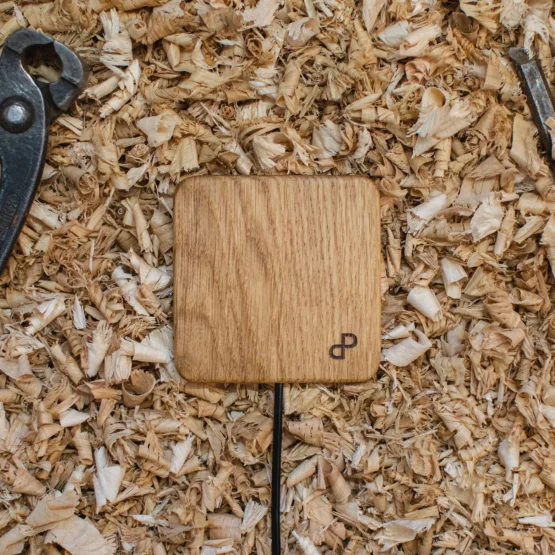 chargeur à induction