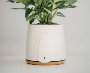 Purificateur d'Air Naturel Design Connecté
