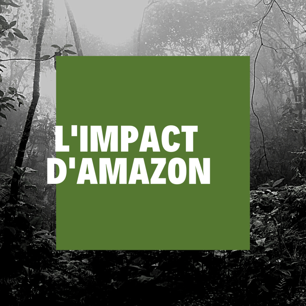 Limpact-dAmazon Acheter français