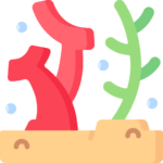 corail-150x150 Acheter français