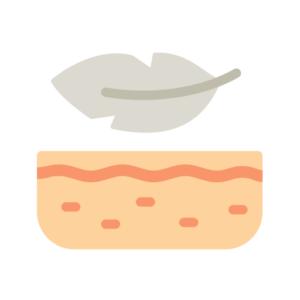 déodorant solide bio