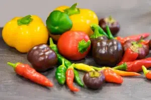 potager d'intérieur