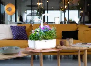 potager d'intérieur