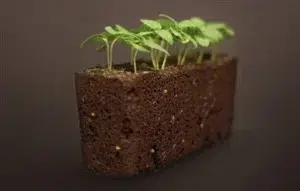 potager d'intérieur