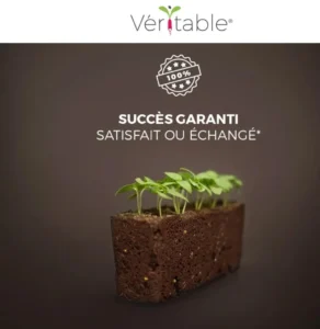 potager d'intérieur